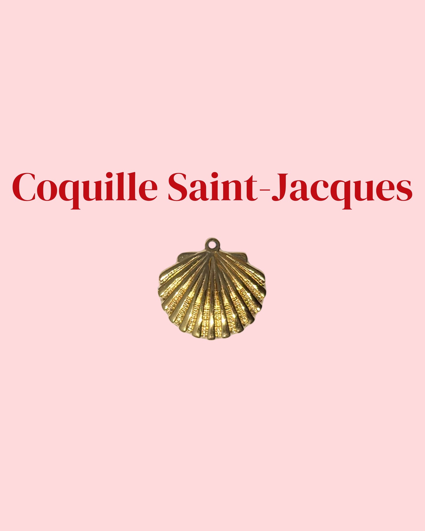 Coquille saint Jacques