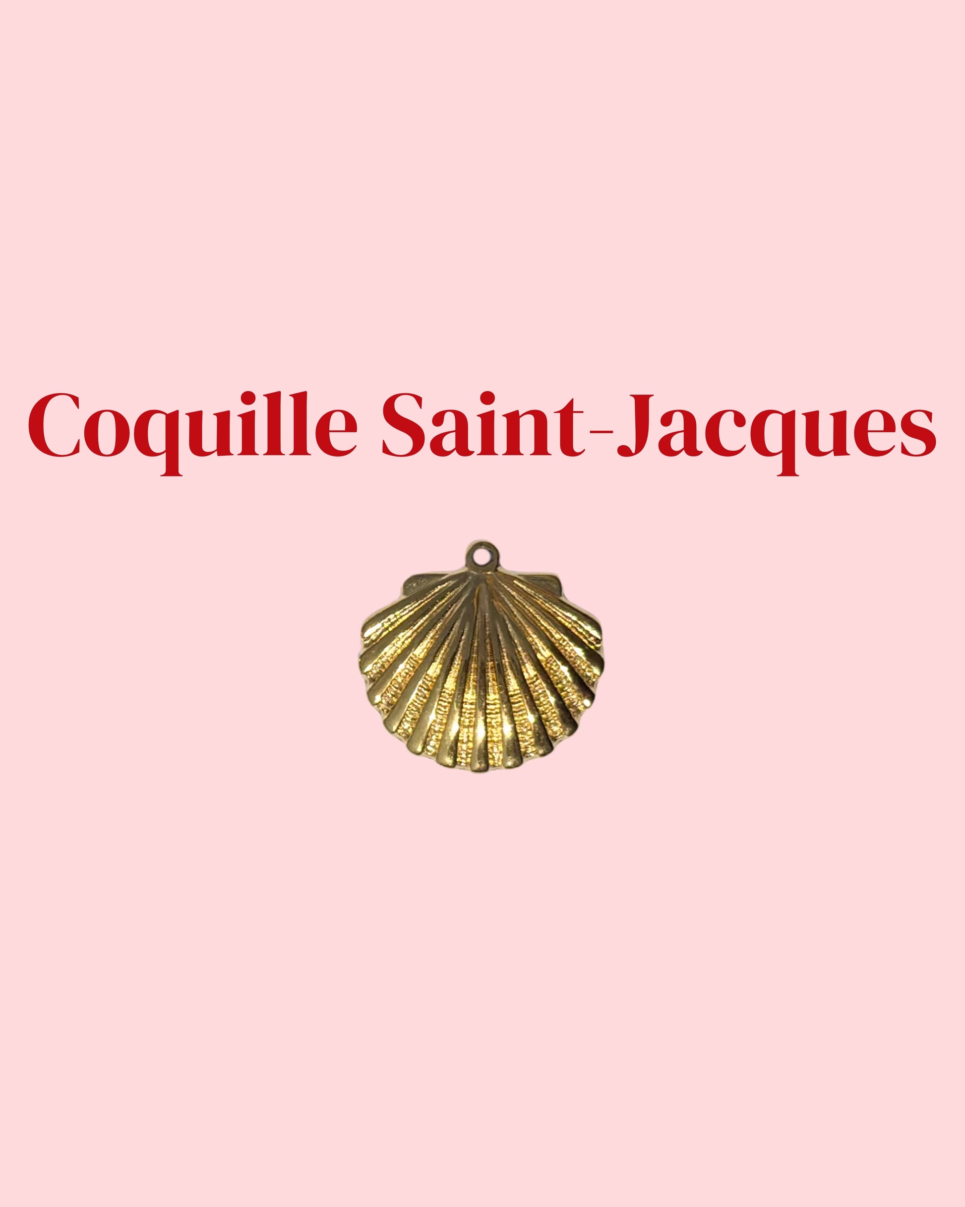 Coquille saint Jacques